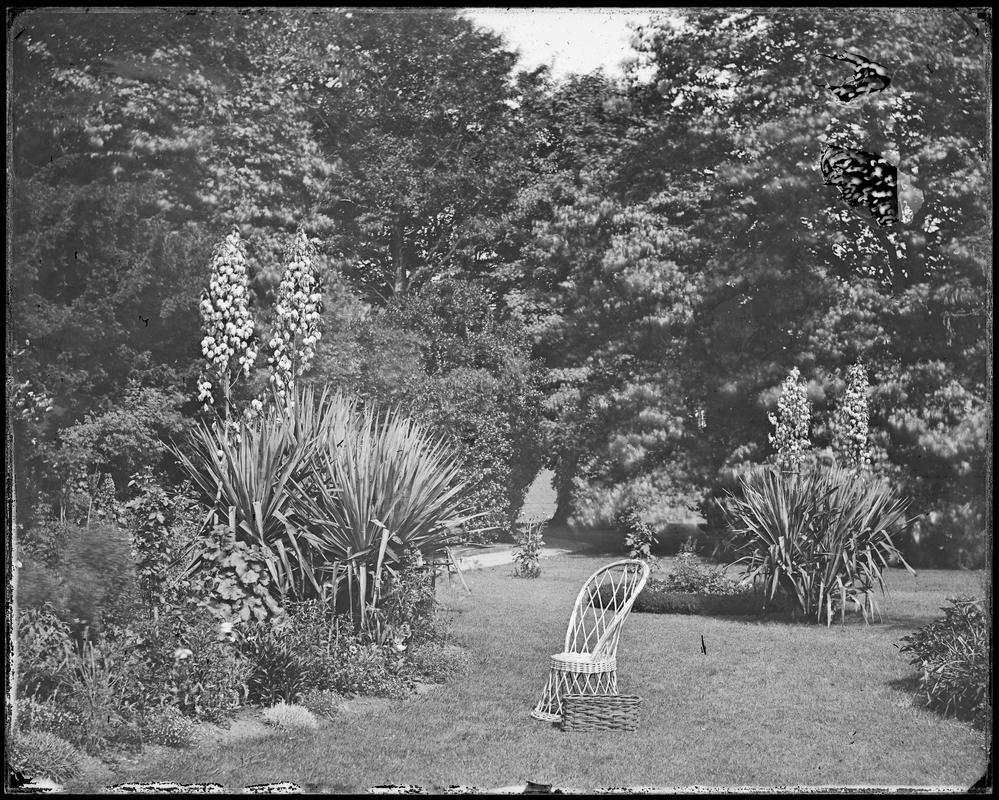 garden scene at Sketty Hall, glass negative