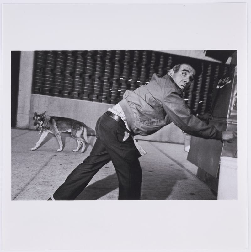 Man, dog, cart. New York City, USA