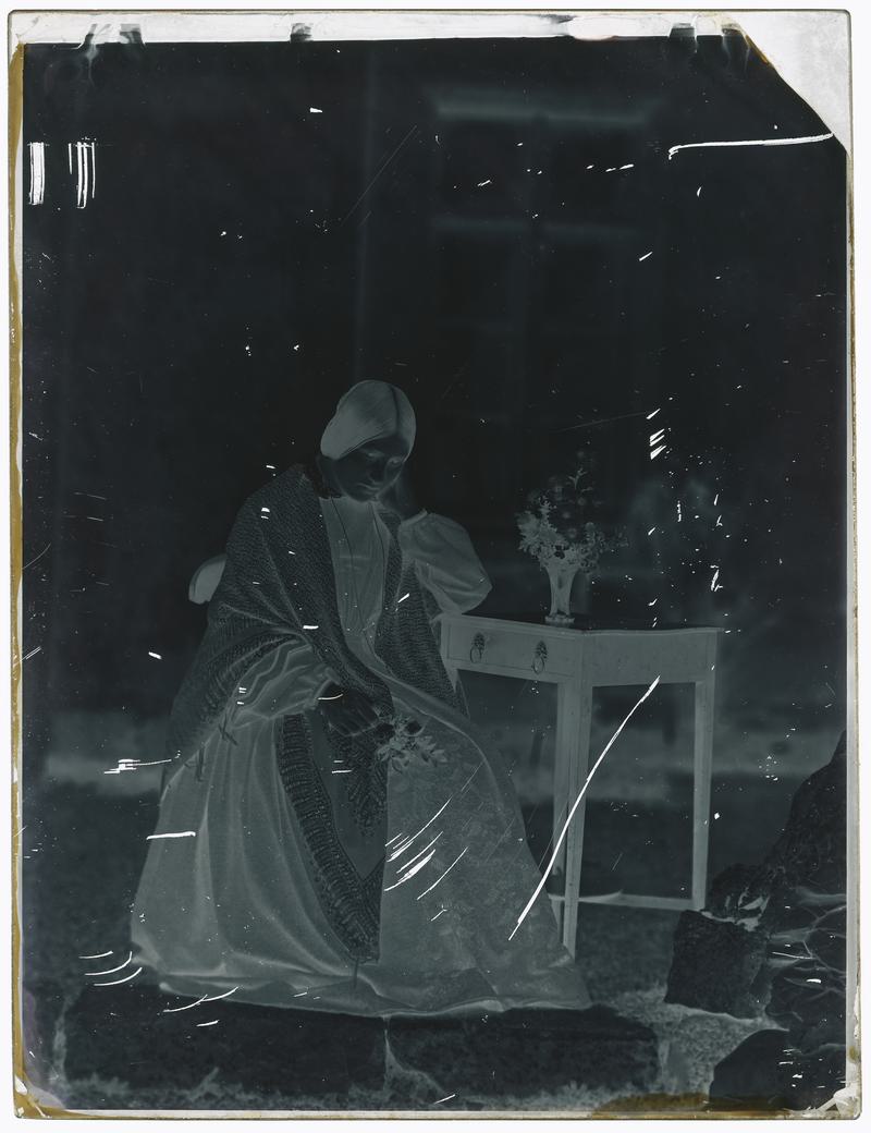 Thereza Dillwyn Llewelyn 1853 (glass negative)