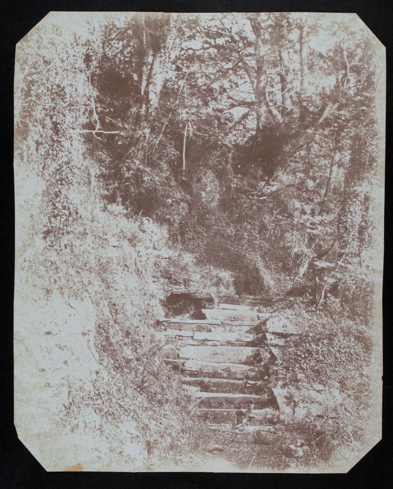 Penllergare, steps in valley