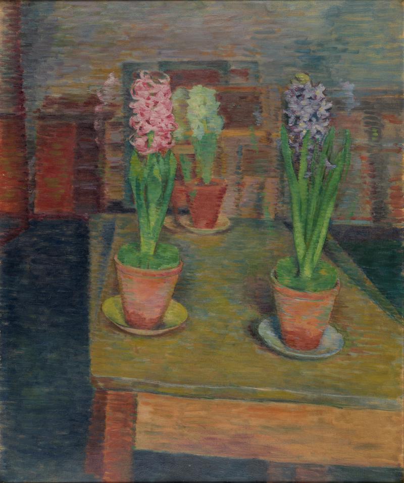 Three Hyacinths