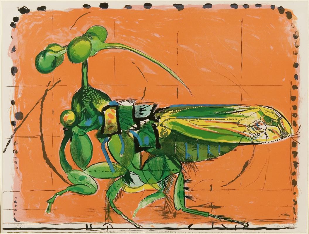 Insect, simulating seeds