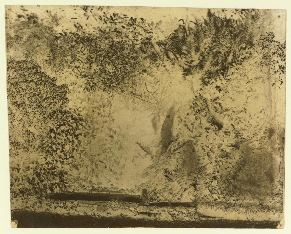 Penllergare, well and rockery, negative