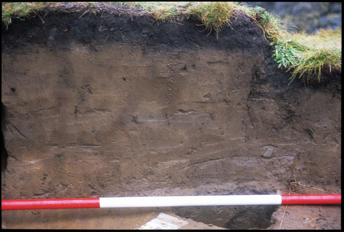 Burry Holms, Gower. 2001 Trench 4. Section at the north of the trench. Sequence shot 7.