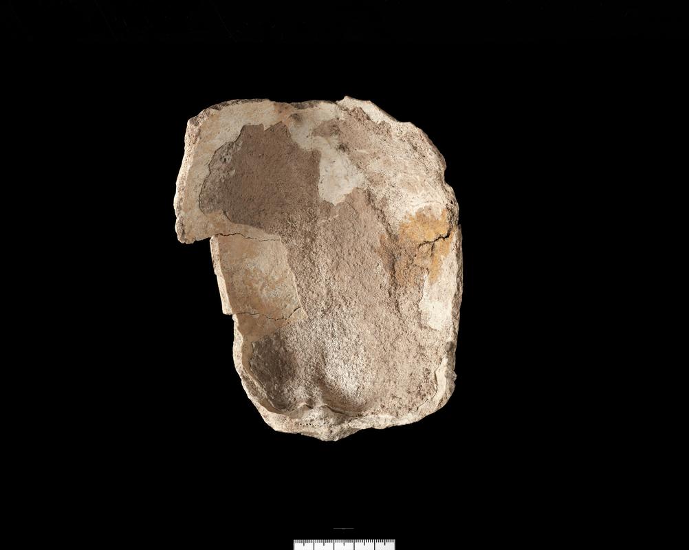 Prehistoric human bone