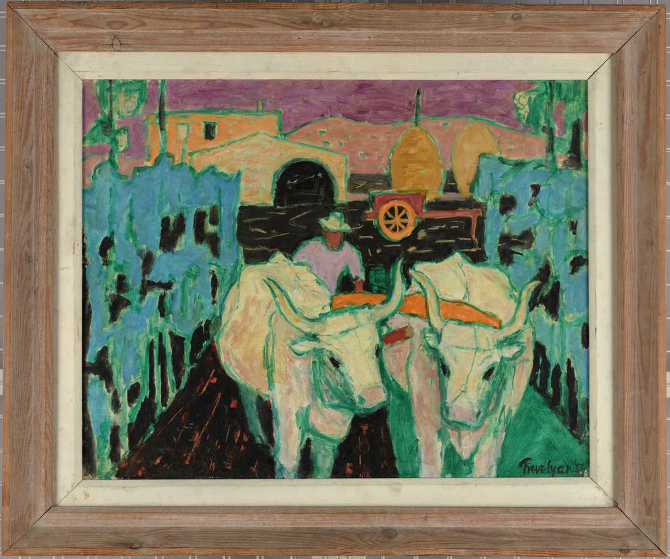 Tuscan oxen