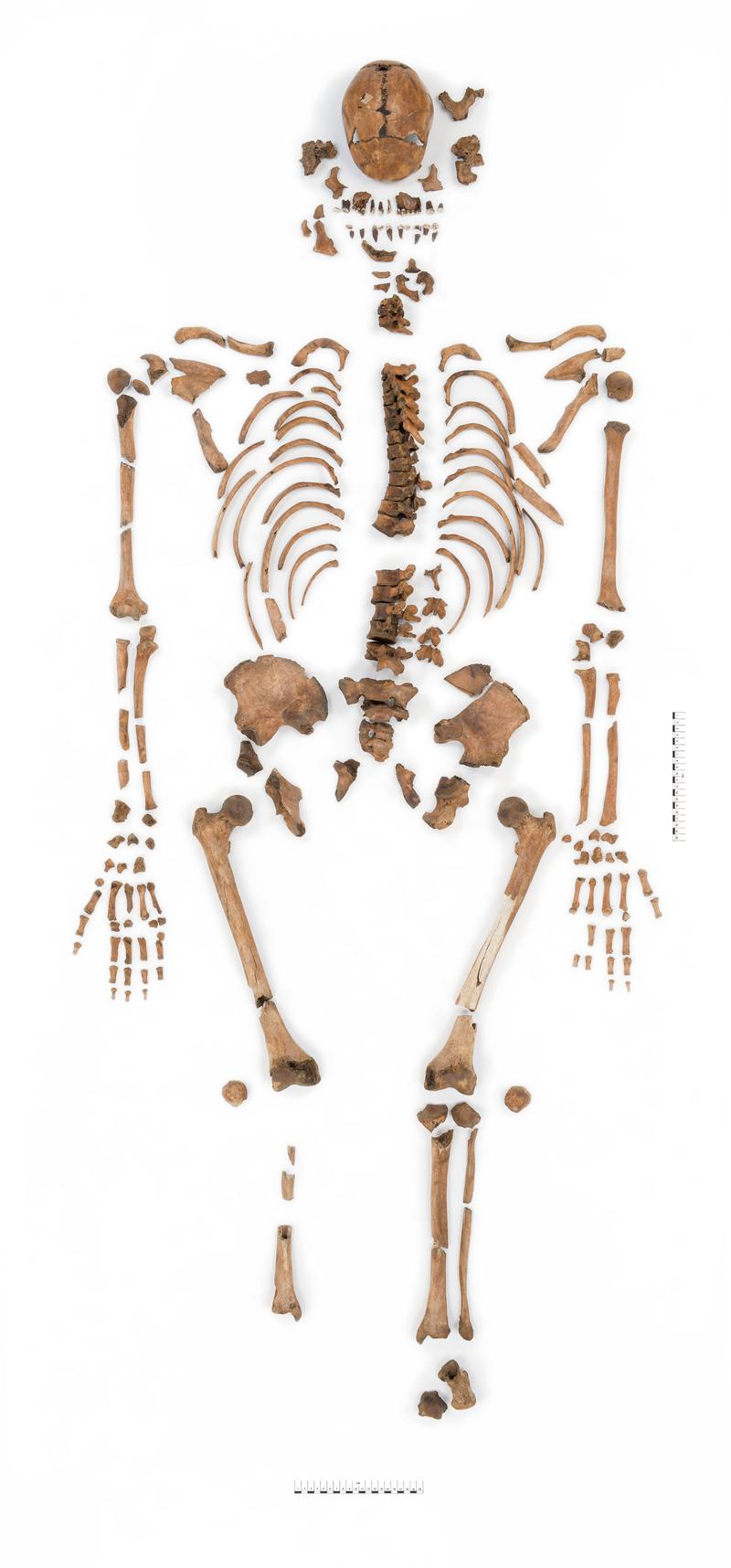 Finds from Llanbedrgoch excavation