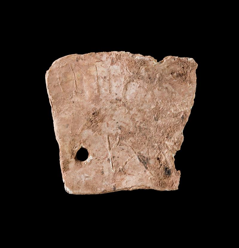 Roman lead baggage label