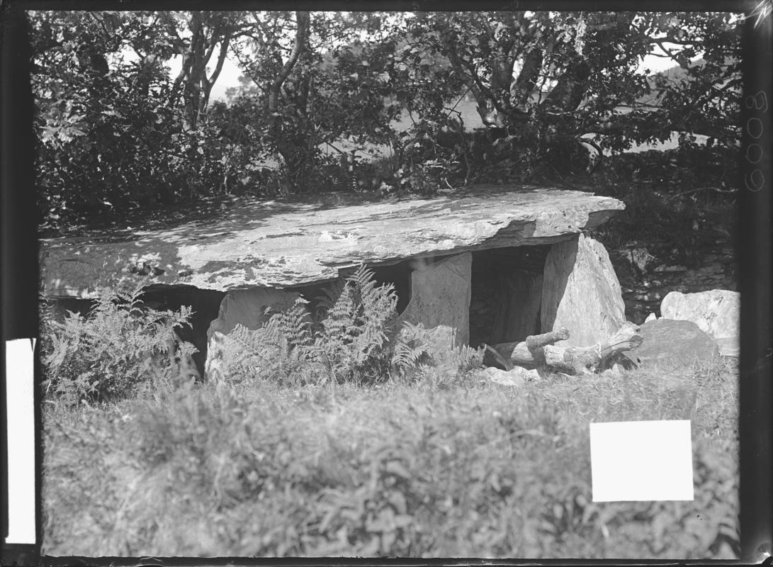 Glass plate negative; Capel Garmon chambered tomb