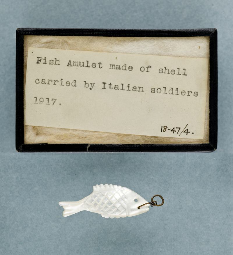 Fish shell amulet