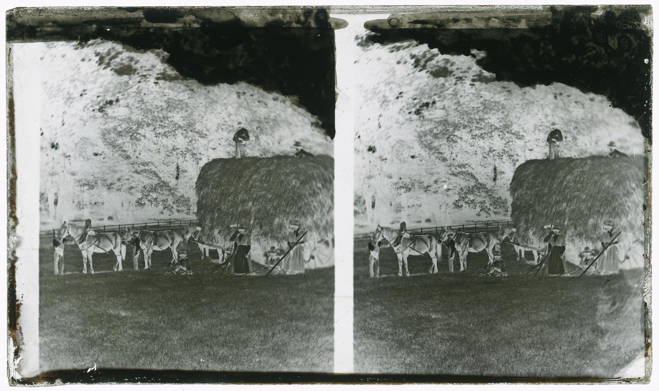 Haymakers, glass negative