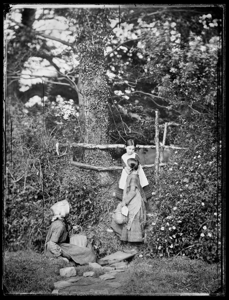 School children at Penllergare, glass negative