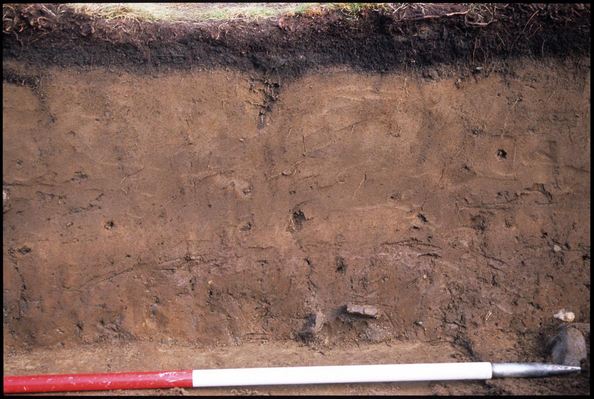 Burry Holms, Gower. 2001 Trench 4. Section at the east of the trench. Sequence shot 7.