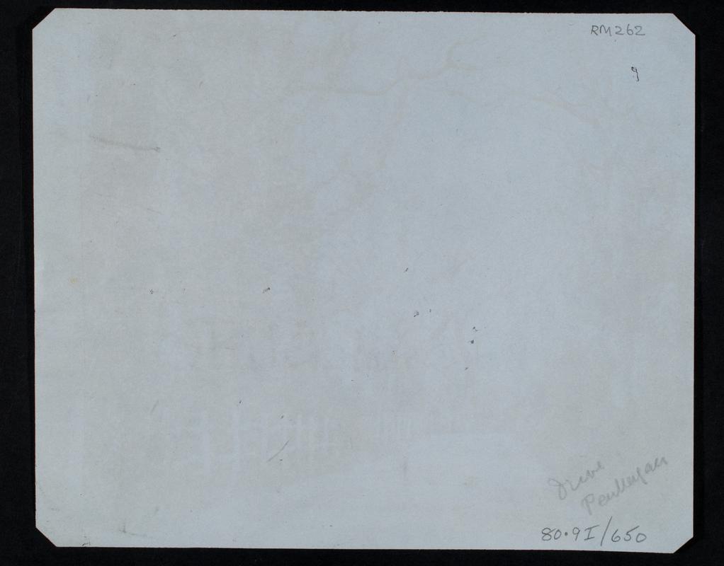 Penllergare, drive, photograph