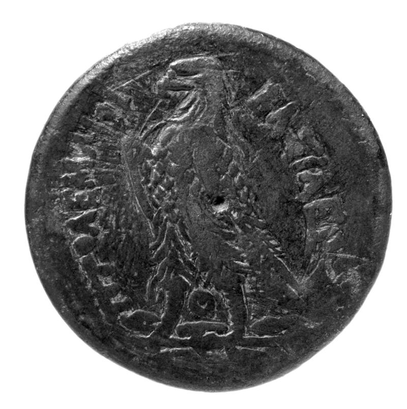 Coin of Ptolemy I 305-283 BC