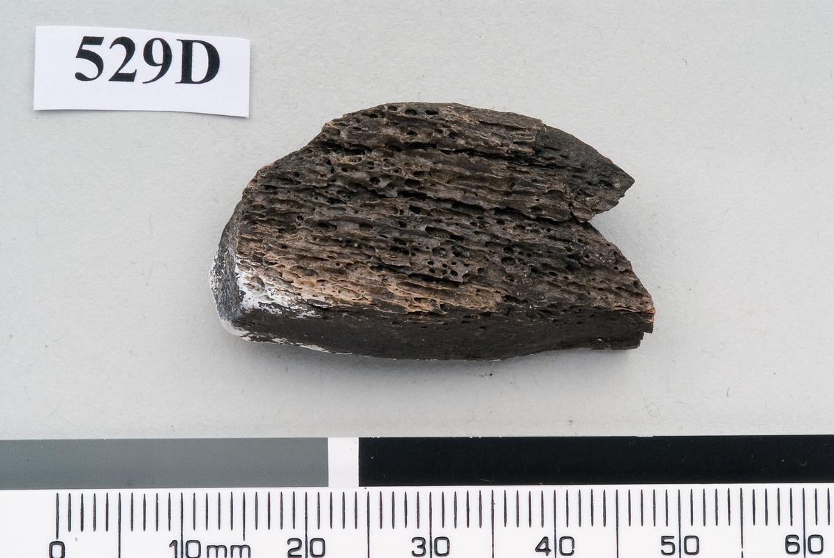 Medieval bone chess piece