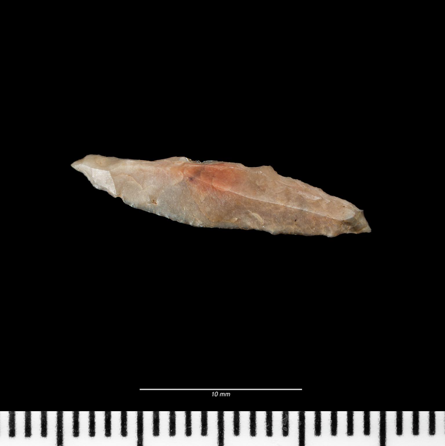Mesolithic flint microlith