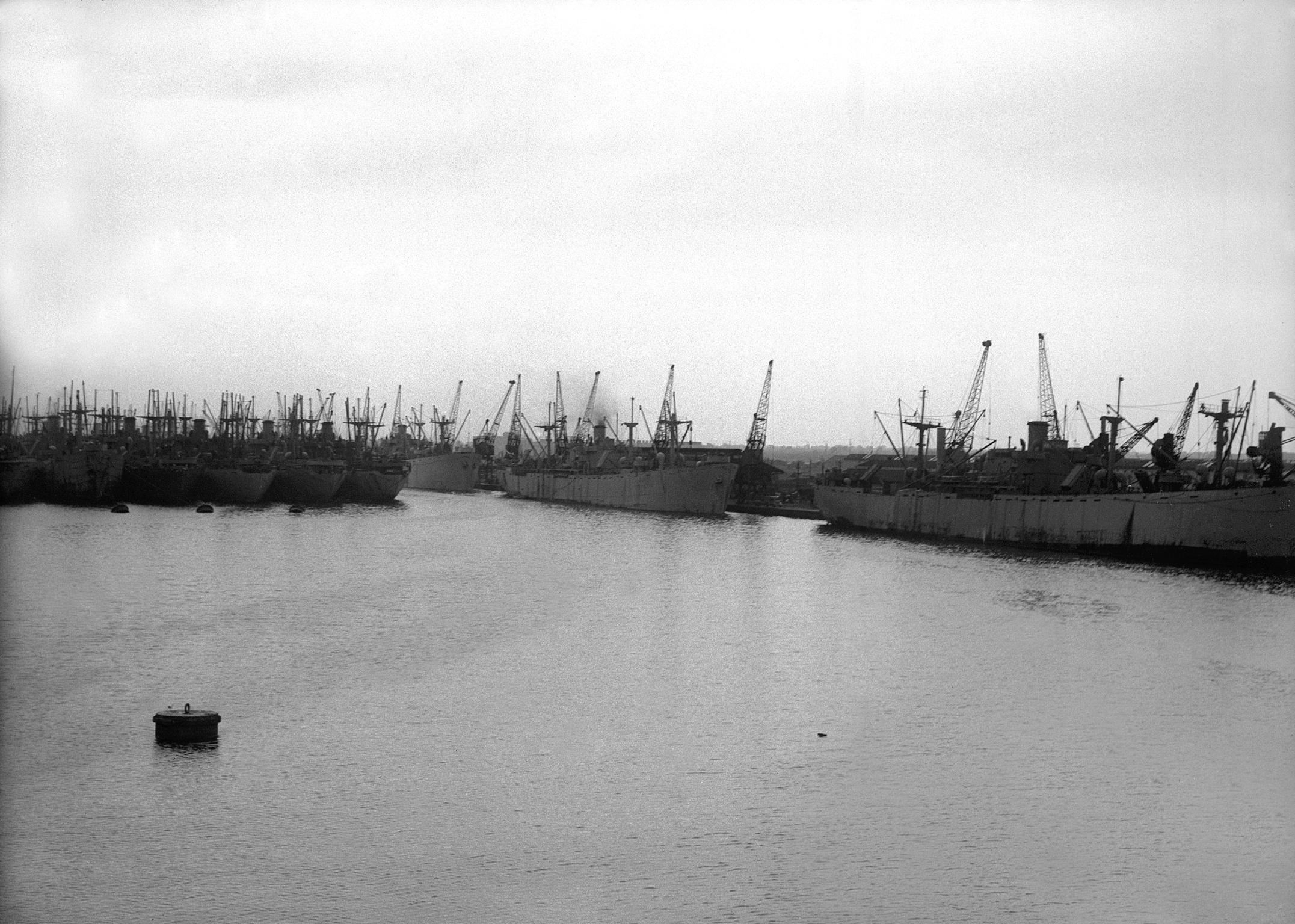 Newport Docks, glass negative