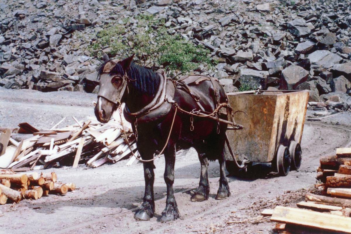 Pantygasseg mine, photograph