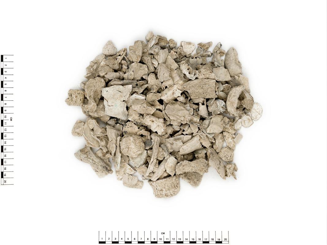 Early Bronze Age cremated human remains