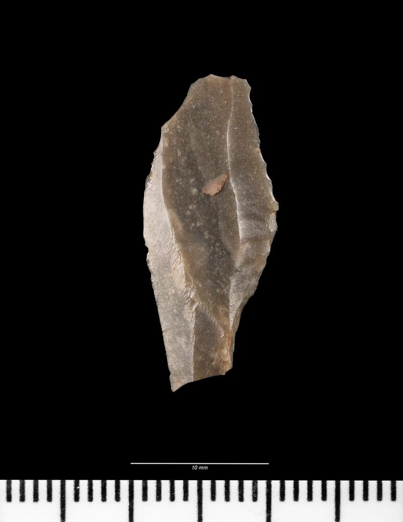 Mesolithic flint microlith