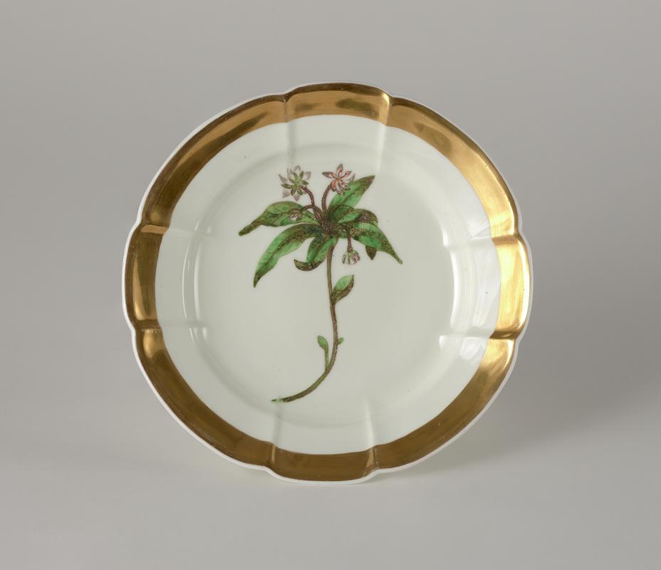plate, 1816-1817