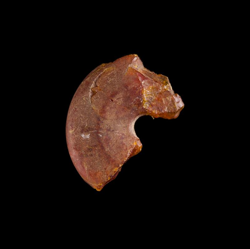 Roman amber bead