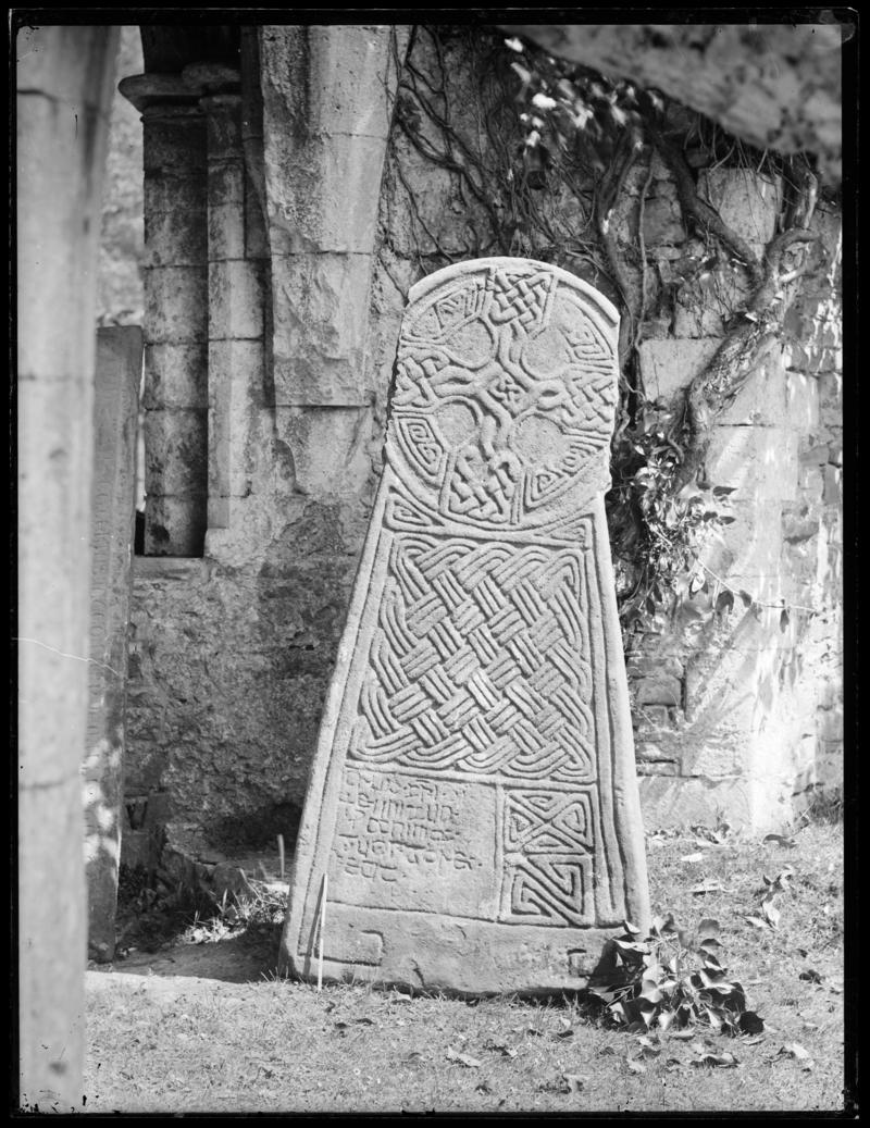 Photographic Negative