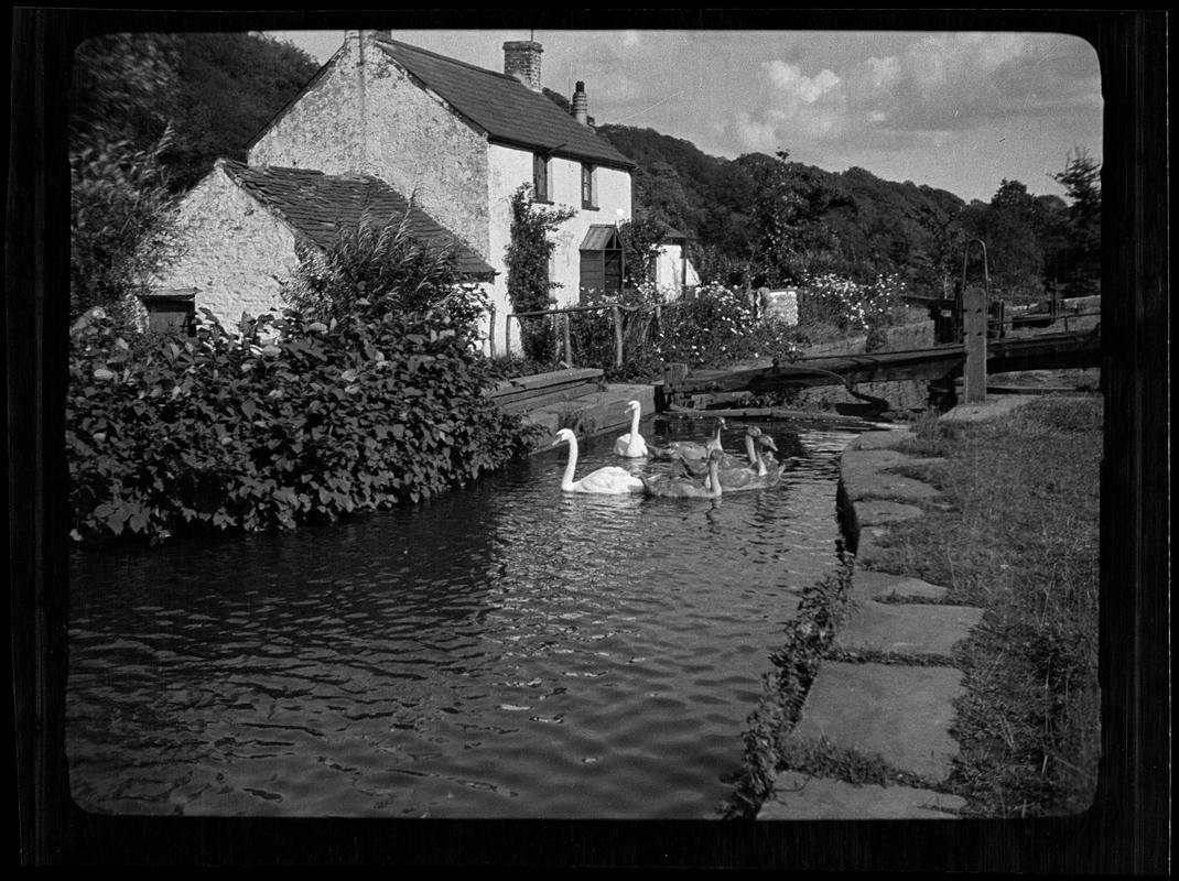 Glamorganshire Canal, negative