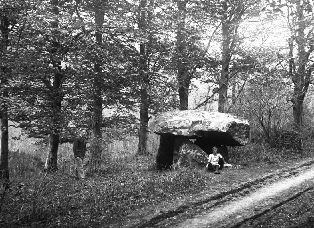 Glass plate negative; chambered tomb