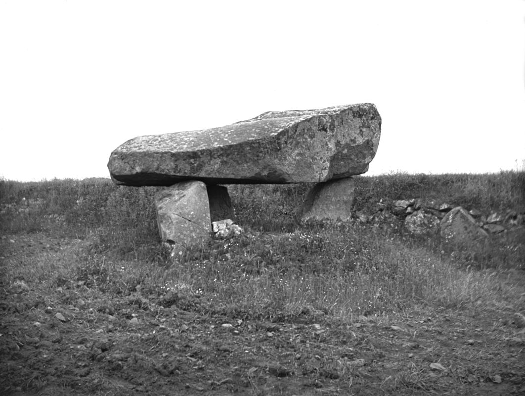 Glass plate negative; Ty Newydd chambered tomb