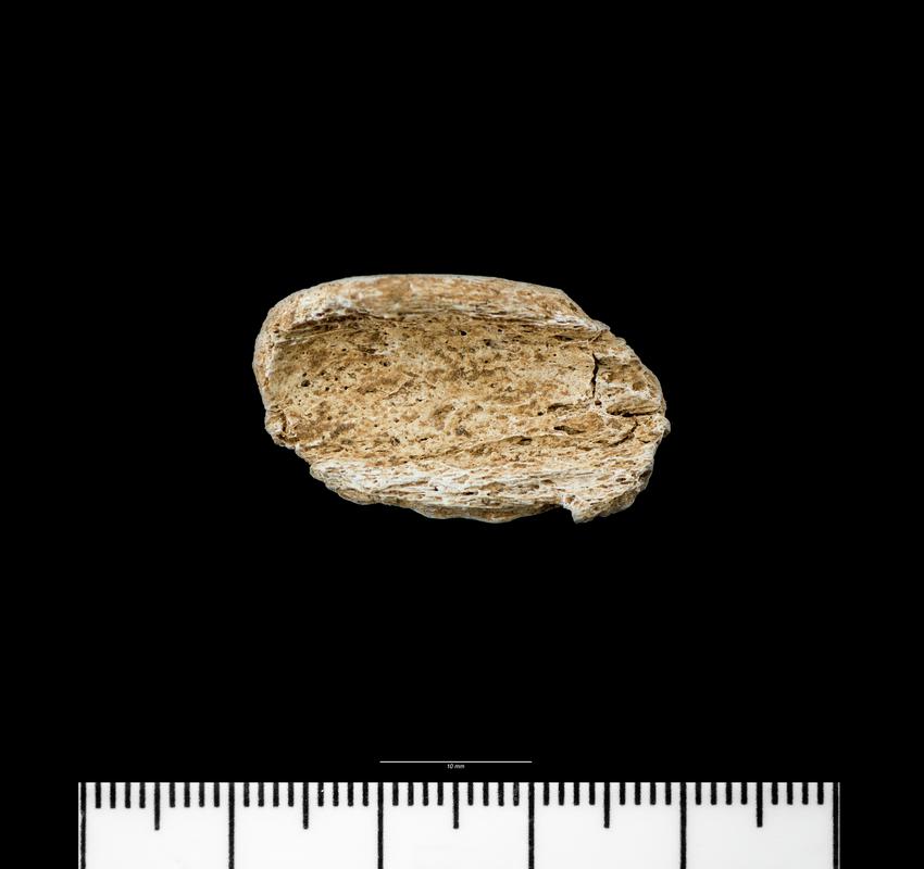 Middle Neolithic cremated human remains