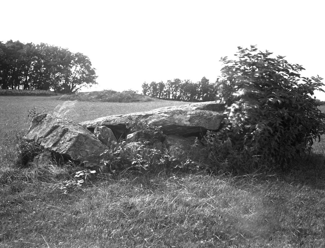 Ty mawr chambered tomb