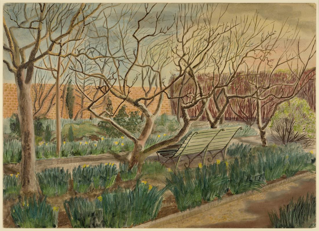 Summer garden, Llandaff