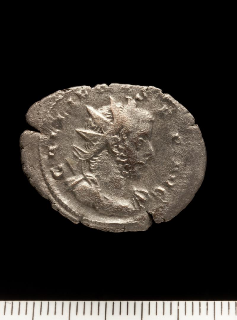 Sully Hoard I (1899)