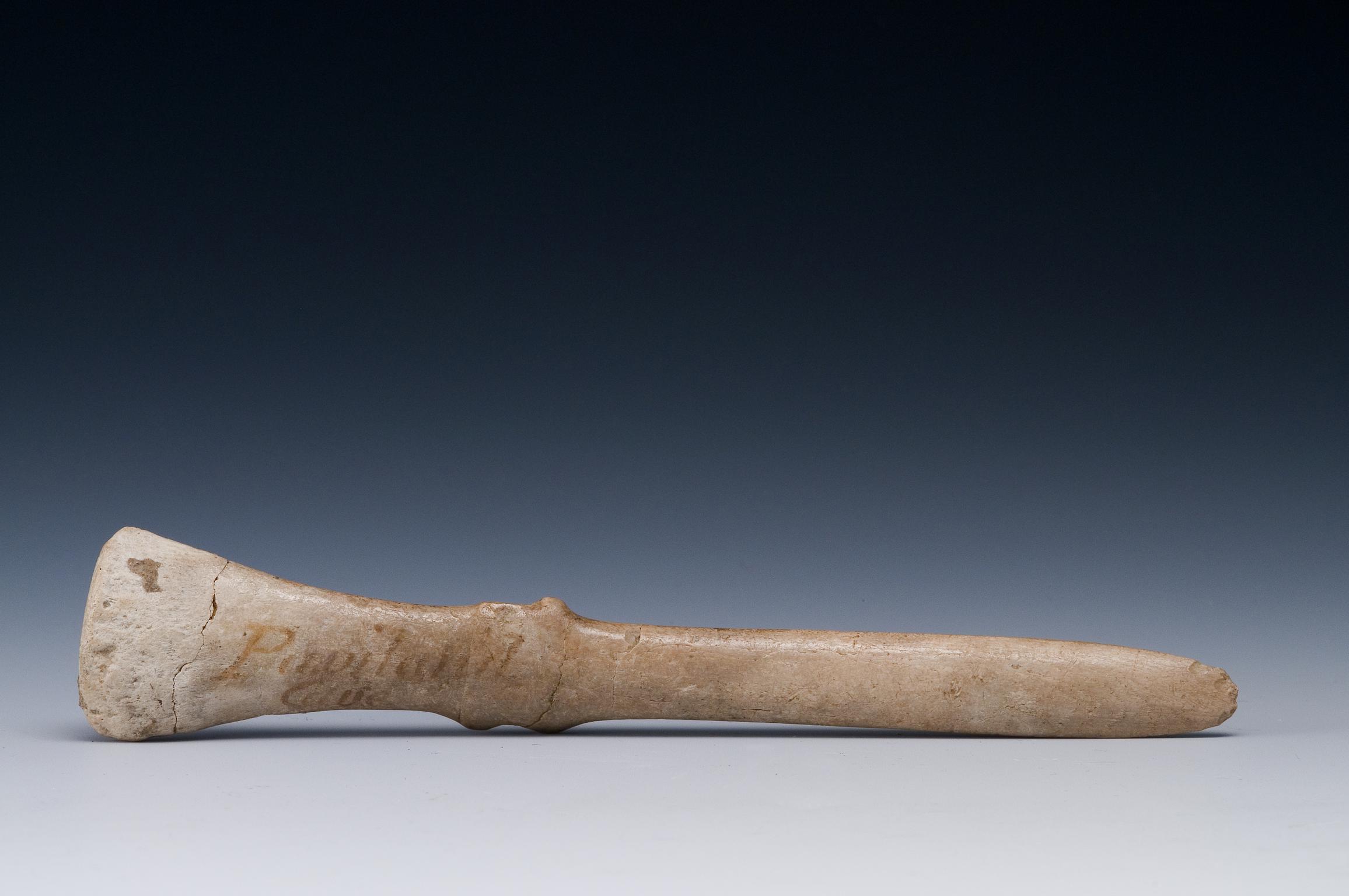 Upper Palaeolithic bone spatula
