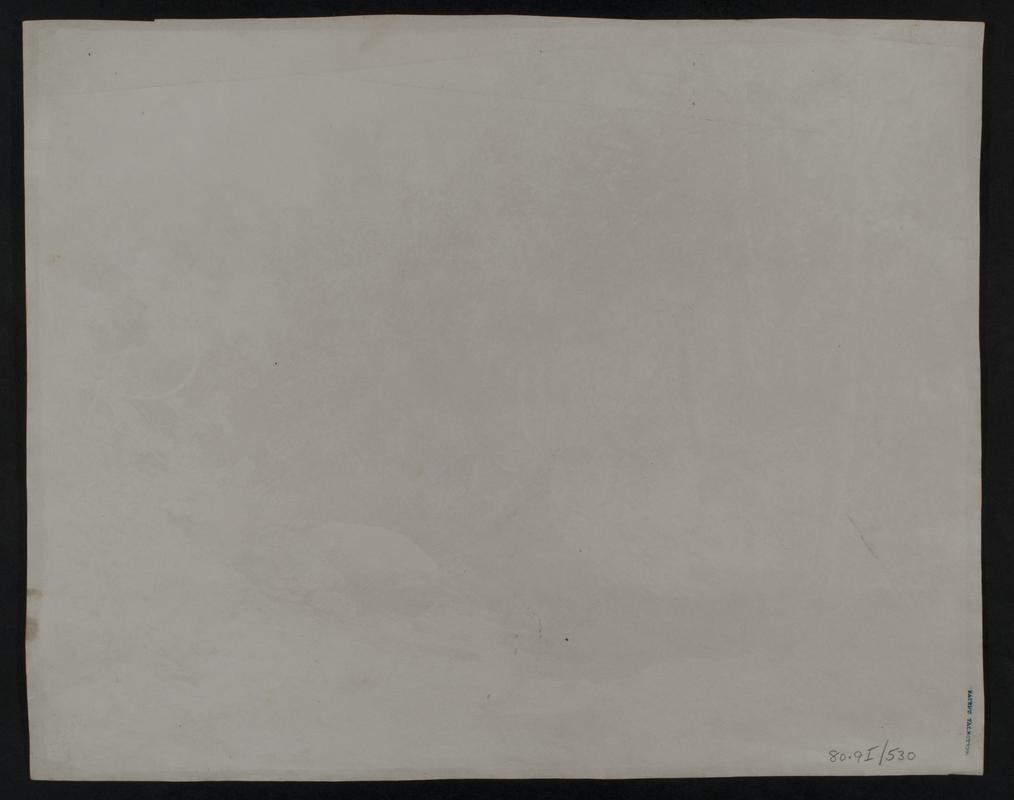 Stream running through woods, photograph