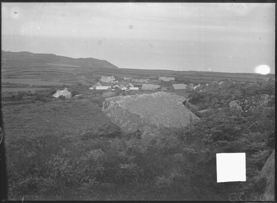 Photographic Negative