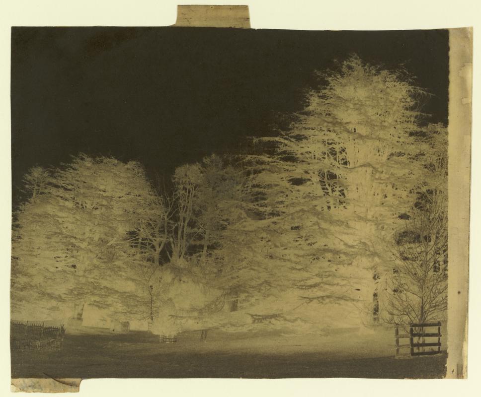 Paper negative