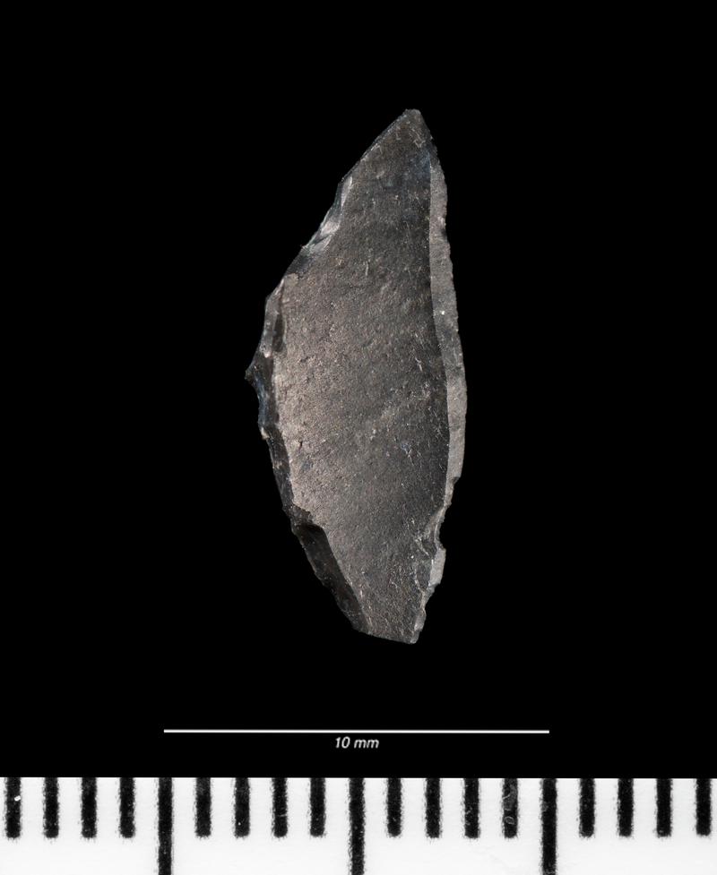 Mesolithic chert microlith