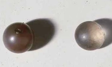 Glain Nadredd, o Ben-tyrch, Morgannwg