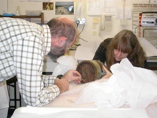 Cymryd samplau pren o'r tancard