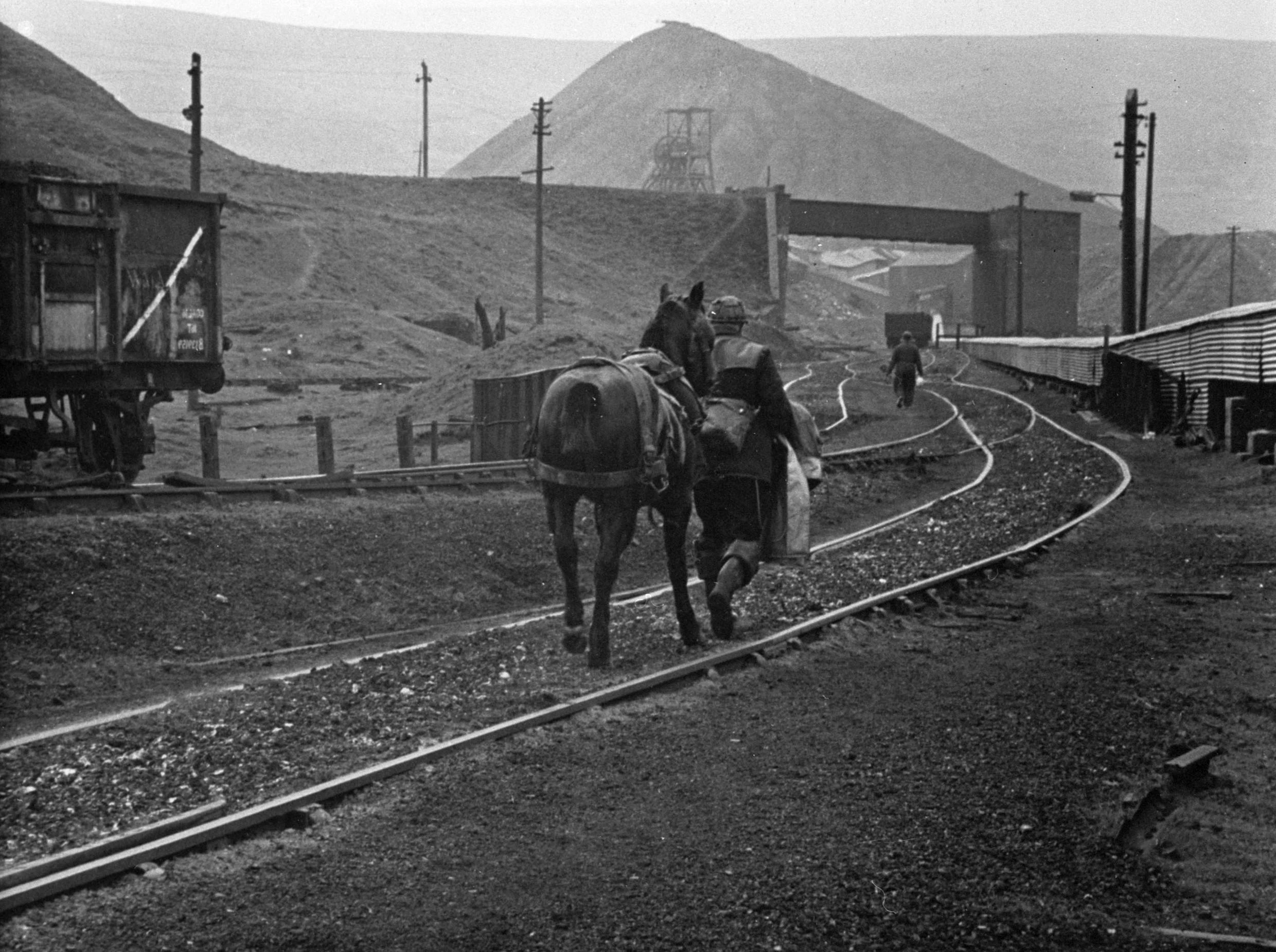 Ceffyl y pwll glo yn dychwelyd i stablau'r wyneb yn Big Pit o'r Olchfa ym 1968.