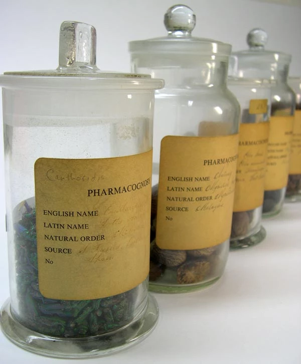 Rhai esiamplau o'r casgliad <em>materia medica</em>, wedi'u storio mewn poteli gwydr.