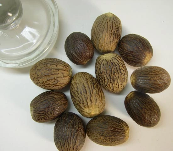 Y nytmeg, credir ei fod yn edrych fel ein hymennydd.