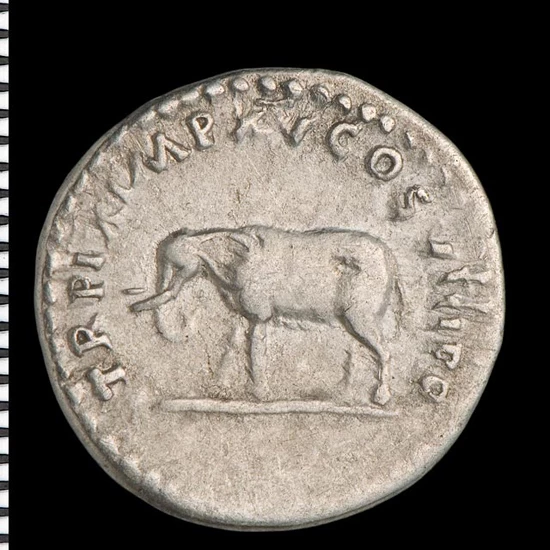 Bwystfil estron [Titus]