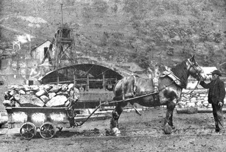 Pit Pony and Tram: Ferndale Colliery in 1907 (b/w photo)