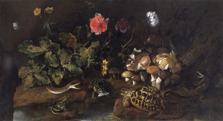 Still Life with a snake, frogs,tortoise and lizard (oil on canvas)