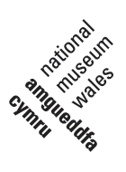 Amgueddfa Cymru