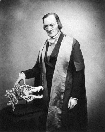 Syr Richard Owen – un o sylfaenwyr yr Amgueddfa Hanes Natur Genedlaethol, Llundain a bathwr y gair 'deinosoriaid'